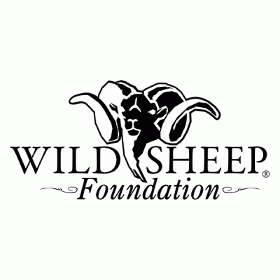 twi_partners_conservation_wildsheep_v1